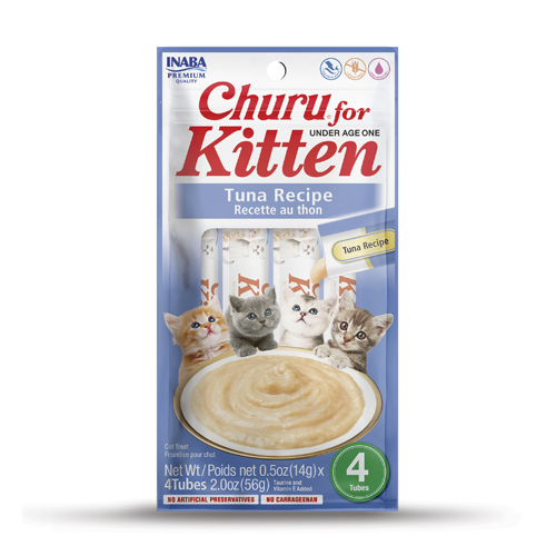 Churu კნუტებისთვის