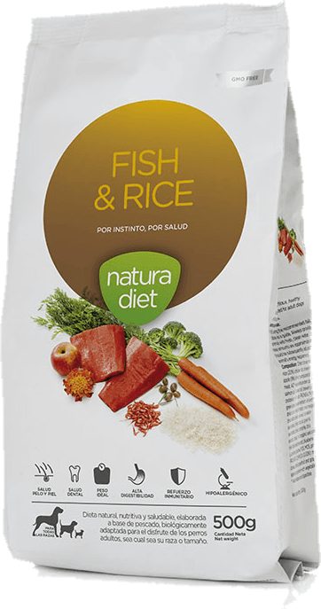 Fish & Rice
